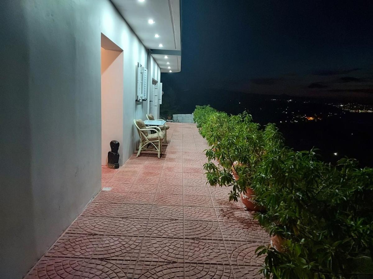 Panorama *